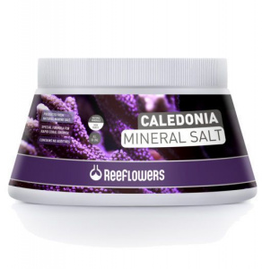 Reeflowers Caledonia Mineral Salt 5500ML