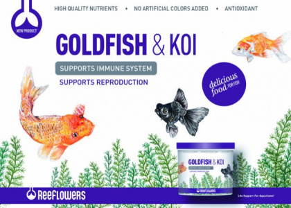 Reeflowers Goldfish&Koi 250 ml 144 gr Orjınal Kutu Balık Yemi