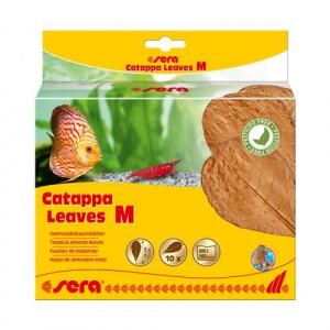 Sera Catappa Yaprağı M 18 Cm 10lu Paket