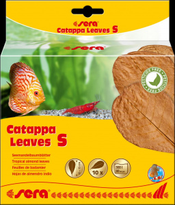 Sera Catappa Yaprağı S 14 Cm 10lu Paket
