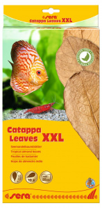Sera Catappa Yaprağı XXL 32 Cm