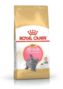 Royal Canın Kitten British Shorthair Yavru Kedi Maması 2Kg