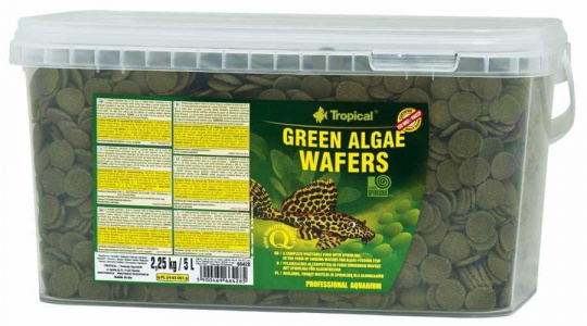 Tropical Green Algae Wafers Balık Yemi 250 GR